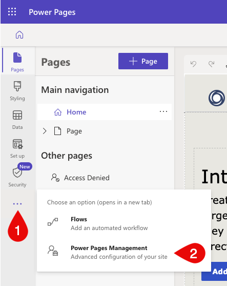 Power Pages Management